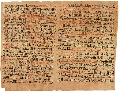 Edwin Smith Papyrus