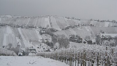 Slika:LendavskeGorice-zima1.jpg