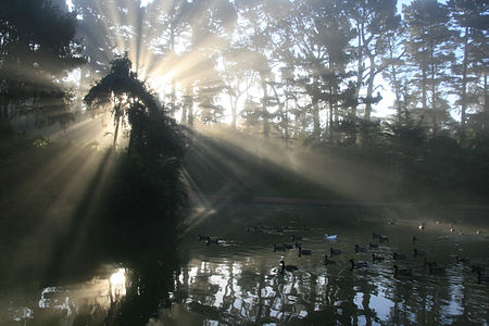 Crepuscular rays