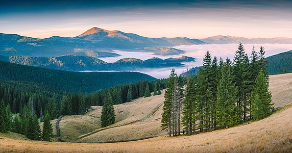 Carpathian Biosphere Reserve, Zakarpattia Oblast, Ukraine