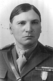 Полковник Иоан или Ион Уца, сопротивление в Банате