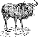 Gnu (PSF)