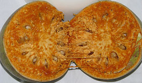 290px-Limonia_Acidissima_Fructus.jpg