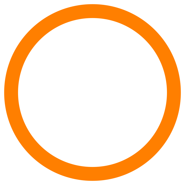 Image result for orange circle