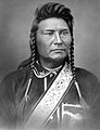 Chief Joseph (Hin-mah-too-yah-lat-kekt)