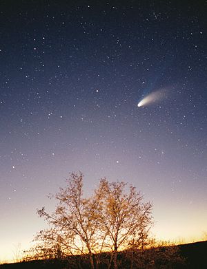 Hale-Bopp Comet above a tree, higher resolution, adjusted