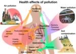 Health effects of some common types of pollution.