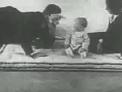 Fájl: Kis Albert-kísérlet (1920) .webm