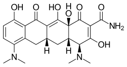 A Minocycline cikk szemléltető képe