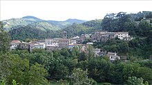 un sat pe o creastă din pădure