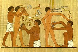 Circumcision Sakkara 3.jpg