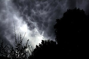 Mammatus clouds