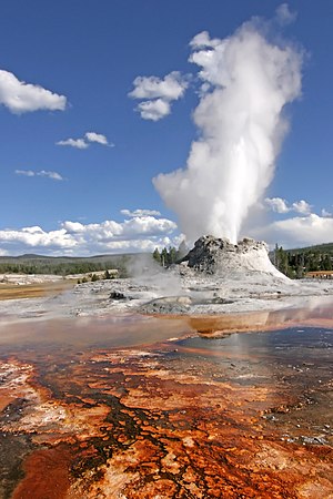 Castle Geyser at Yellowstone National Park