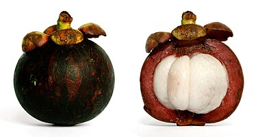 The fruit of the Purple Mangosteen