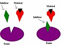 Minijatura za verziju na dan 11:06, 17. decembar 2005.