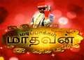 11:00, 5 சனவரி 2014 இலிருந்த பதிப்புக்கான சிறு தோற்றம்