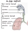 19:47, 4 திசம்பர் 2007 இலிருந்த பதிப்புக்கான சிறு தோற்றம்