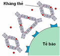 Hình xem trước của phiên bản lúc 22:25, ngày 8 tháng 12 năm 2005