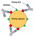 Hình xem trước của phiên bản lúc 22:25, ngày 8 tháng 12 năm 2005