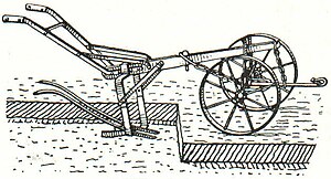 1. Rübenheber.