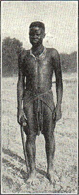 Musgu (Sudanneger).